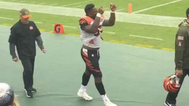 Illustration for article titled Why Your Team Sucks 2018: Cincinnati Bengals